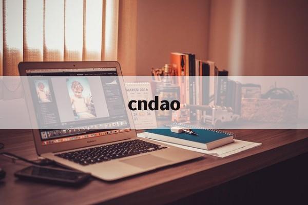 cndao_cN道岔偏心套取出工具